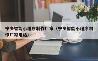 东至宁乡智能小程序制作厂家（宁乡智能小程序制作厂家电话）