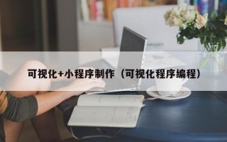 东至可视化+小程序制作（可视化程序编程）